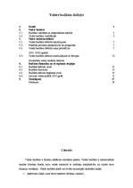 Referāts 'Valsts budžeta deficīts', 1.