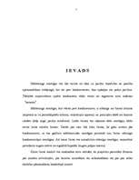 Referāts 'Komercdarbības stratēģiju veidi', 2.