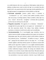 Referāts 'Komercdarbības stratēģiju veidi', 5.