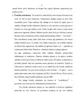 Referāts 'Komercdarbības stratēģiju veidi', 8.