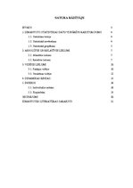 Referāts 'Piemājas saimniecības saimnieciskās darbības analīze no 2009.-2013.gadam', 1.