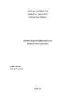 Referāts 'Recepšu medikaments "Zubsolv"', 1.