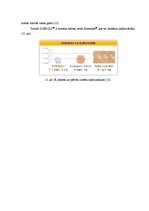 Referāts 'Recepšu medikaments "Zubsolv"', 10.
