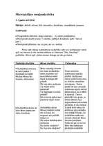 Konspekts 'Matemātikas rotaļnodarbība', 1.