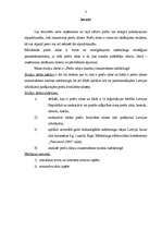 Referāts 'Preču zīmju (marku) izmantošana mārketingā', 3.