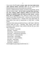 Referāts 'Preču zīmju (marku) izmantošana mārketingā', 6.