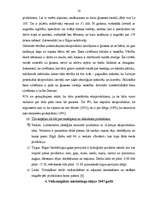 Referāts 'Preču zīmju (marku) izmantošana mārketingā', 14.