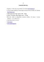 Referāts 'Preču zīmju (marku) izmantošana mārketingā', 27.