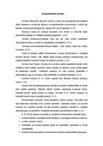 Referāts 'Kultūras teoriju daudzveidības izpausme teorētiķu darbos', 3.