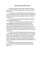 Referāts 'Kultūras teoriju daudzveidības izpausme teorētiķu darbos', 10.