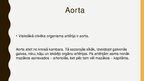 Prezentācija 'Asinsrite', 15.
