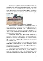 Referāts 'Kokvilna', 7.