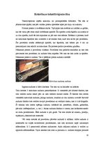 Referāts 'Kokvilna', 10.