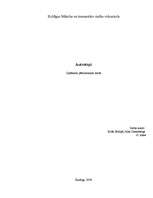 Referāts 'Autostopi', 1.