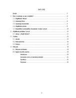 Referāts 'Autostopi', 2.