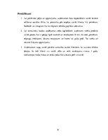 Referāts 'Tirgus analīze un pirkšanas apjoma prognoze', 19.