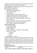 Referāts 'Speciālās izglītības iestādes darbības stratēģijas izpēte', 18.