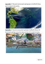 Referāts 'The Pacific Garbage Patch', 8.