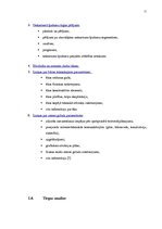 Prakses atskaite 'Bakalaura prakses atskaite', 11.