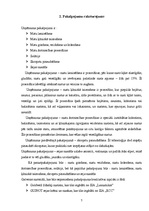 Biznesa plāns 'SIA "Fairytale" skaistumkopšanas salons - frizētava', 9.