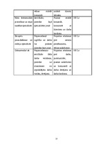 Biznesa plāns 'SIA "Fairytale" skaistumkopšanas salons - frizētava', 12.