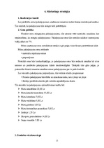 Biznesa plāns 'SIA "Fairytale" skaistumkopšanas salons - frizētava', 17.