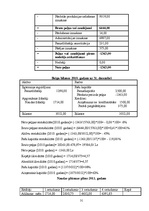 Biznesa plāns 'SIA "Fairytale" skaistumkopšanas salons - frizētava', 33.