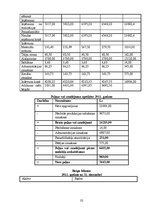 Biznesa plāns 'SIA "Fairytale" skaistumkopšanas salons - frizētava', 34.