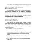 Referāts 'SIA "Latio" tirgus analīze', 5.