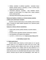 Referāts 'SIA "Latio" tirgus analīze', 8.