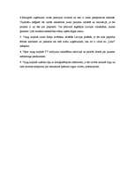 Referāts 'SIA "Latio" tirgus analīze', 24.