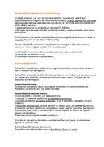 Konspekts 'Individuālais komersants un kapitālsabiedrība, to dibināšana', 1.