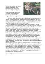 Referāts 'Edvarts Virza', 5.