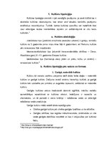 Referāts 'Kultūru tipoloģija', 2.