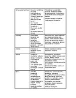 Referāts 'Kultūru tipoloģija', 9.