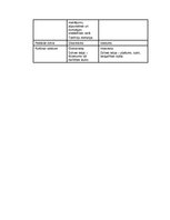 Referāts 'Kultūru tipoloģija', 10.