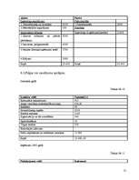 Biznesa plāns 'IK "Inter"', 21.