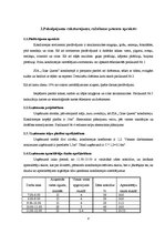 Biznesa plāns 'Konditoreja', 8.