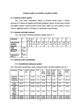 Biznesa plāns 'Konditoreja', 21.