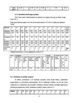 Biznesa plāns 'Konditoreja', 23.