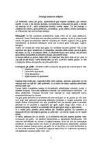 Referāts 'Svinīgā mielasta etiķete', 2.