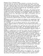 Eseja 'Eukaryotic Cells', 1.