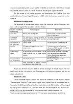 Eseja 'Venture Capital', 3.