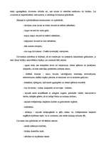 Referāts 'Apdrošināšanas tirgus Latvijā', 20.