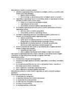 Konspekts 'Menedžments', 1.