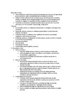 Konspekts 'Menedžments', 3.