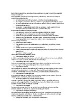 Konspekts 'Menedžments', 23.