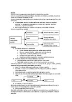 Konspekts 'Menedžments', 26.