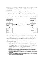 Konspekts 'Menedžments', 29.