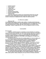 Referāts 'Biodīzeļdegvielas ražošana un pielietošana', 8.